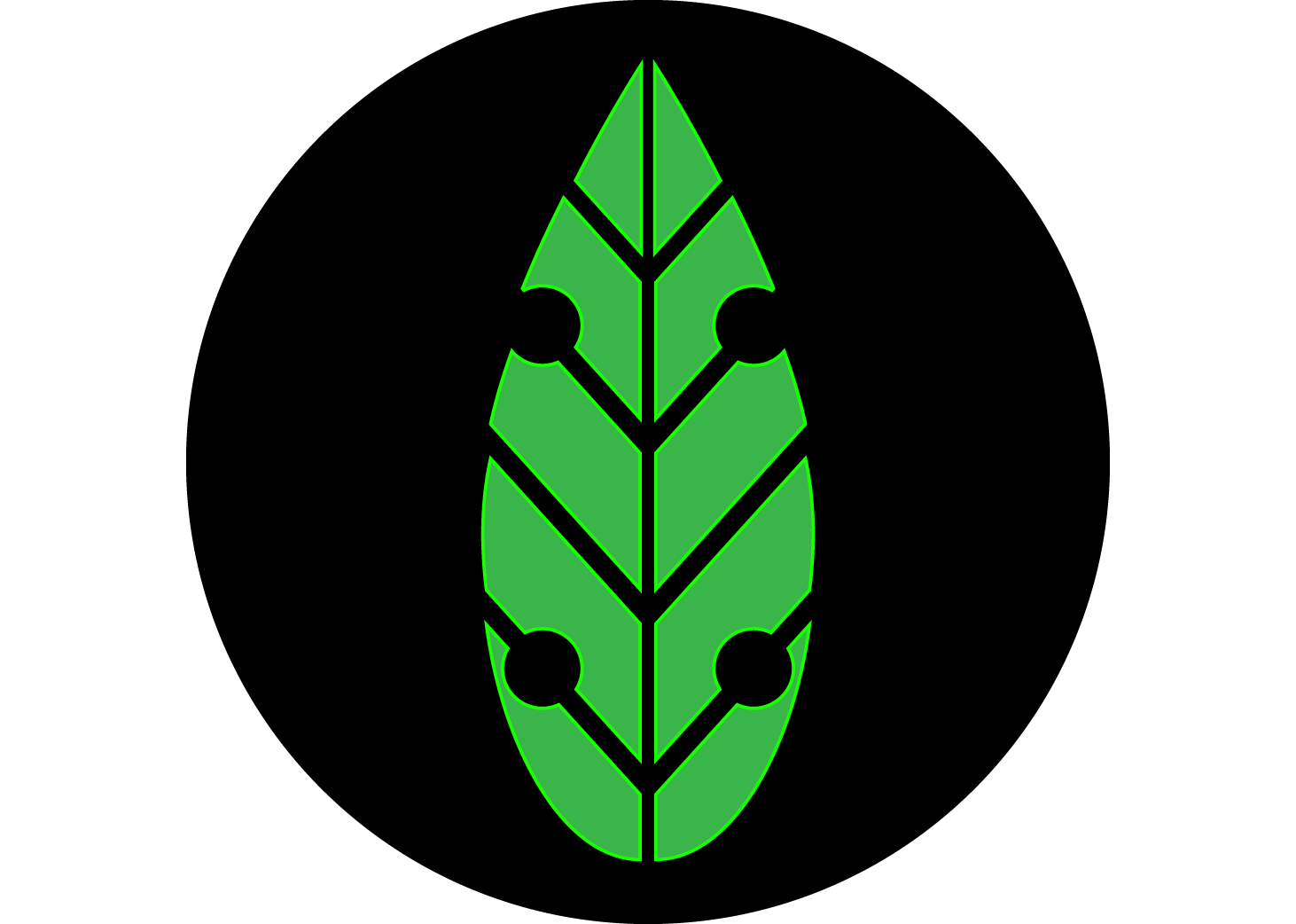 Mint Skateboards logo